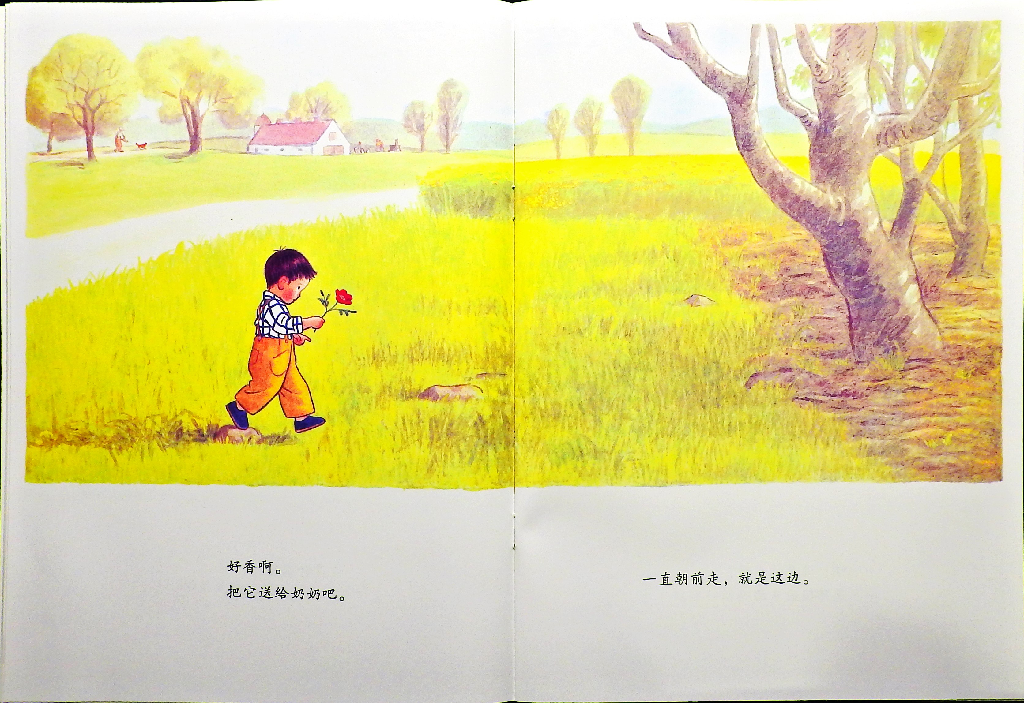 我一直一直朝前走 (07),绘本,绘本故事,绘本阅读,故事书,童书,图画书,课外阅读